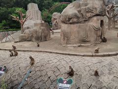 -哈尔滨北方森林动物园