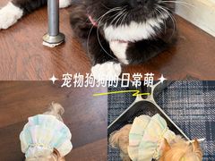 -成都南湖公园