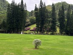 -深圳仙湖植物园