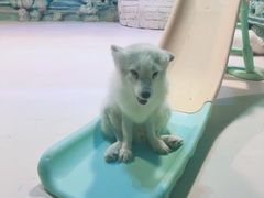 -华夏文旅海洋公园