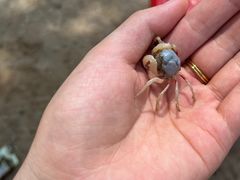 -红树林天天赶海