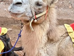 -天山神秘大峡谷