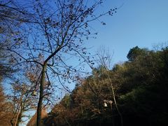 -杭州西湖风景名胜区-满觉陇四眼井