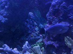 -成都浩海立方海洋公园