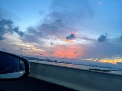 -芒洲湿地公园
