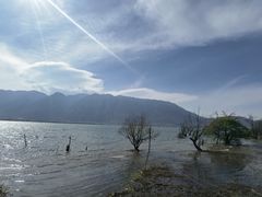 -大理洱海