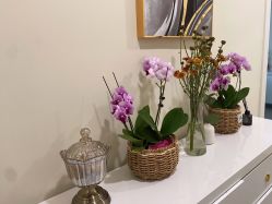 -海涛医疗美容·面部抗衰·注射美鼻