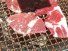 -九田家黑牛烤肉料理(华侨城店)