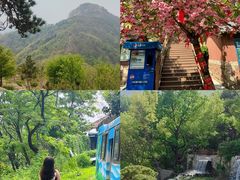 -沂蒙山旅游区云蒙景区(蒙山国家森林公园)