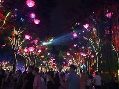 -老马家马蓉蛋菜夹馍·腊牛肉夹馍(回民街店)