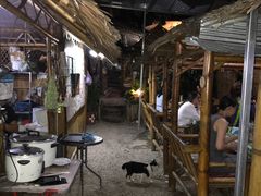 -Jungle Kitchen