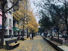 -肖肖酸萝卜鱼火锅(总店)