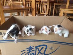 -云河农家乐饭店(福禄缘树山店)
