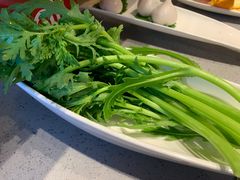 茼蒿-海底捞火锅(铂澜大象城店)