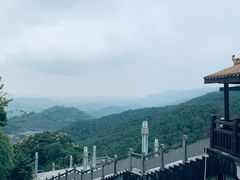 -铁山坪森林公园