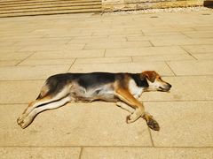 -盘龙城国家考古遗址公园