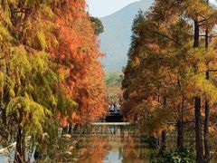 -田野绿世界