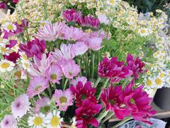 -爱尚幸福鲜花(上地实体店)