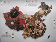 -北京中医药大学-中医药博物馆