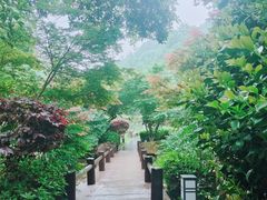 -桃花岭景区