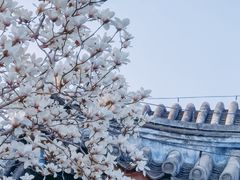 -颐和园