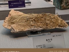 -湖南省地质博物馆