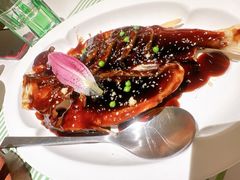 -桂满陇(虹桥天地店)