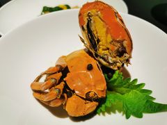 陈年花雕熟醉蟹-肆月河豚·淮扬菜·湘菜(华天店)