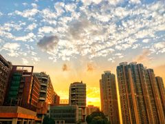 -香港大学