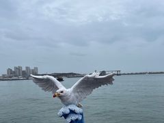 -青岛海滨风景区