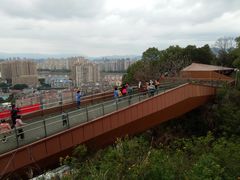 -福道