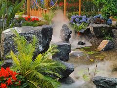 -深圳仙湖植物园