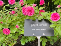 -上海辰山植物园
