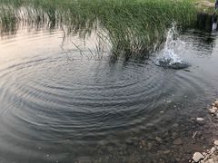-十三陵水库