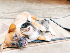 -大理床单厂艺术区