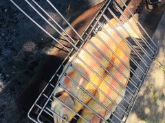 烤虹鳟鱼-明月食府(二区干二路店)