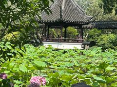 -上海醉白池公园