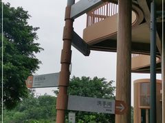 -江门古劳水乡旅游区