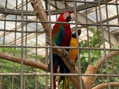 -南宫五洲植物乐园