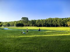 -宜兴龙背山森林公园