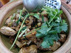 -华仔土鸡店(南洲分店)