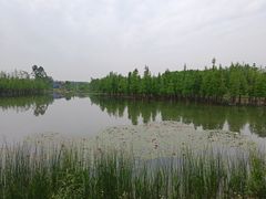 -白鹭湾湿地公园