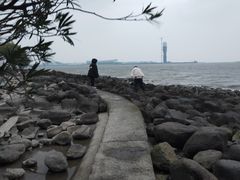 -吴淞炮台湾湿地森林公园烧烤区