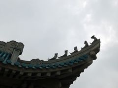 -武汉大学-樱园