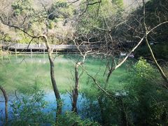 -白马涧龙池景区