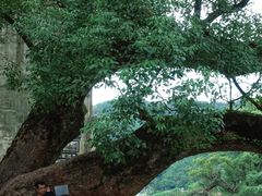 -上坦村