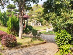 -武汉紫薇都市田园