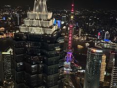 -上海柏悦酒店