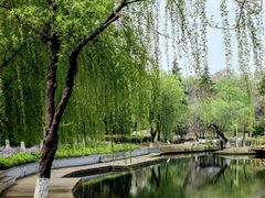 -泰州凤城河风景区-泰山公园