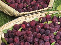 -南坛综合农贸市场